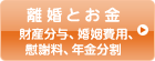 離婚とお金：財産分与、婚姻費用、慰謝料、年金分割